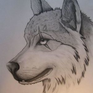 Meet your Posher, Caleb